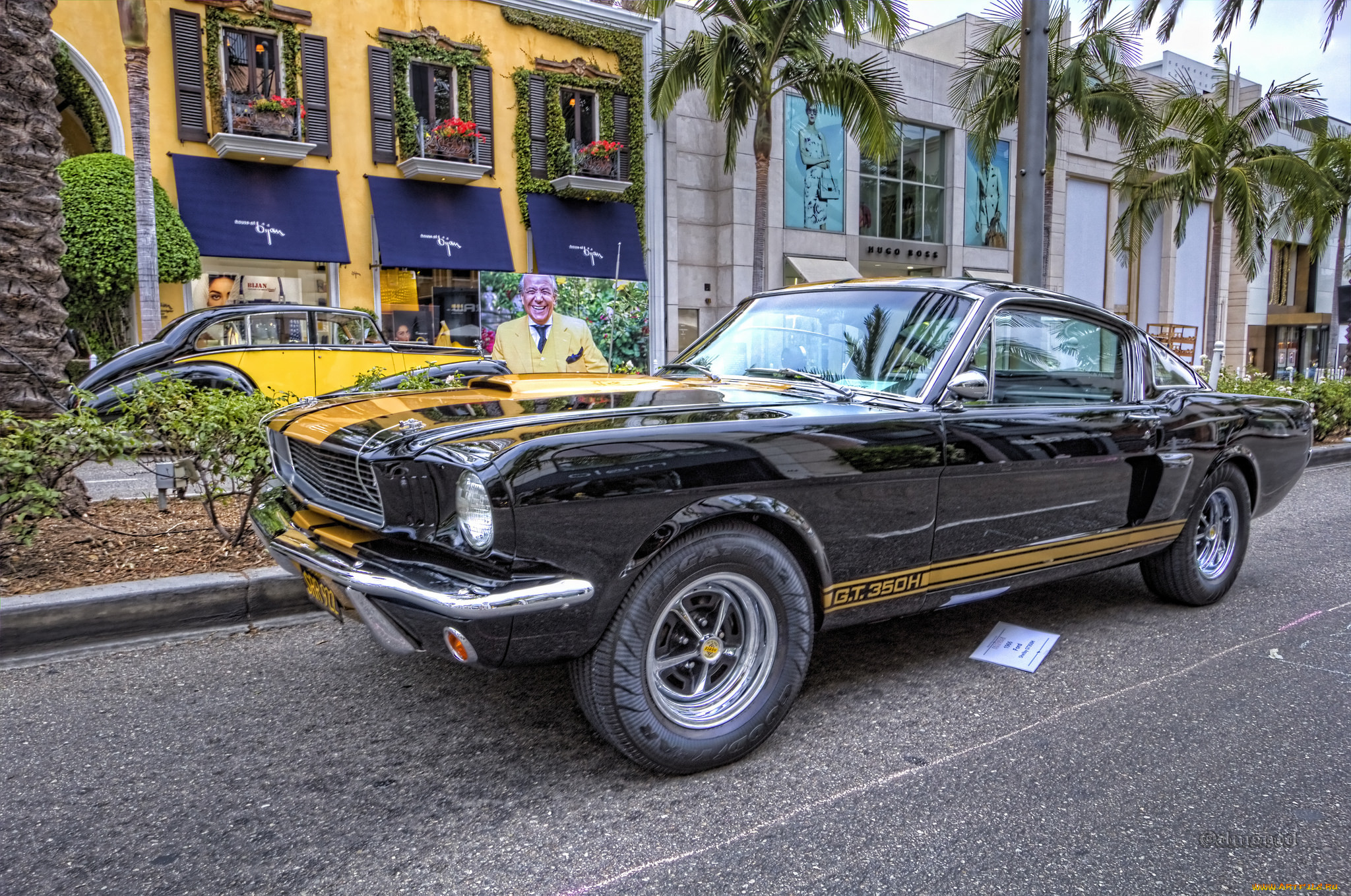 1966 ford mustang shelby gt350h, ,    , , 